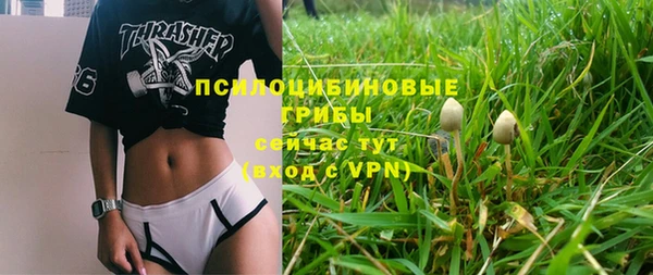 apvp Армянск