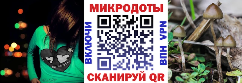 Галлюциногенные грибы ЛСД  продажа наркотиков  Сурск 